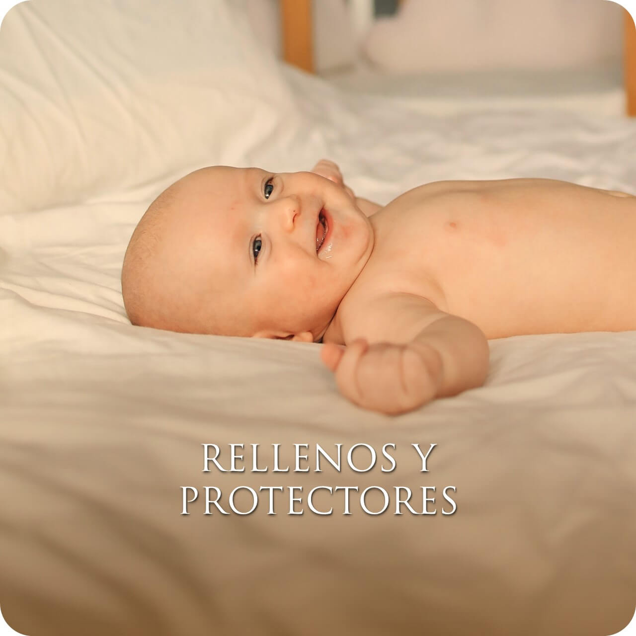 Rellenos y protectores Top Nimbos